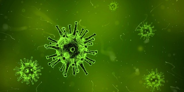 Koronavirus přitáhnul dezinformace